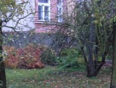 Dům Pánkovy tchyně