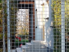 Dům Viktorovy milenky