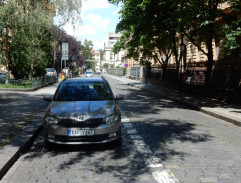 Bedřiška na kole III