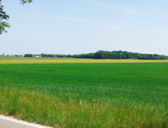Autobus