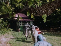 Díky za každé nové ráno