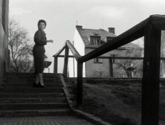 Vina Vladimíra Olmera