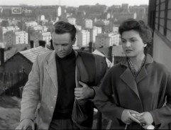 Vina Vladimíra Olmera