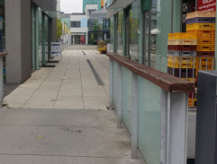 Lucie pozoruje rodinku