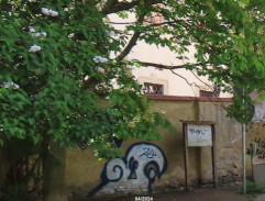 Cesta k Denisu Vaškovi II