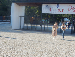 Hledání Pepy Berana II