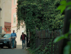 Cesta k Denisu Vaškovi