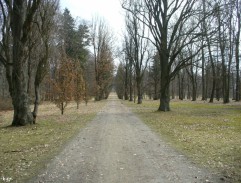 Čekání před věznicí