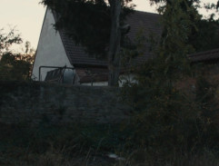 Zakopaný David Doseděl