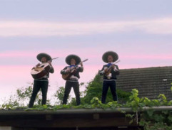 Zoufalé ženy dělají zoufalé věci