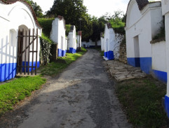 3. Trápení kocoura Žolyho