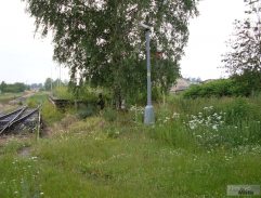 3. Trápení kocoura Žolyho