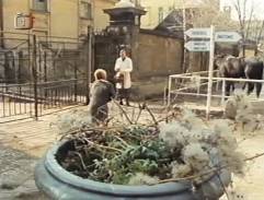 Před branou zvěrolékařské školy