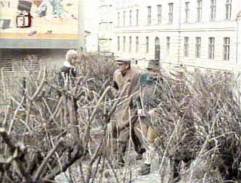 chodník pred domom tety Amálky