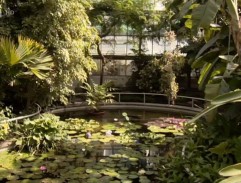 Botanická zahrada 4