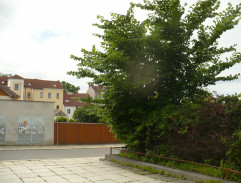 Modelky jdou za playboyem