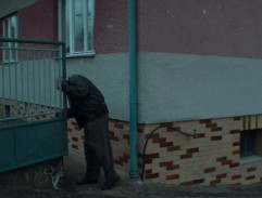 Domovní brána Pašaniho