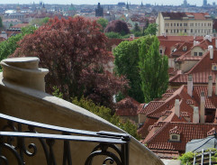 Aspoň na jeden zápas