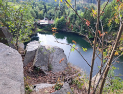 Koupání v jezírku