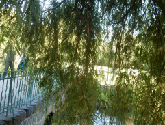 Na bruslích, přichází Varga se ženou