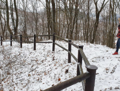 Když draka bolí hlava