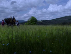 Když draka bolí hlava