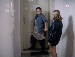 Matka búcha na dvere