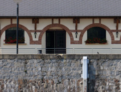 Honička v přístavu II