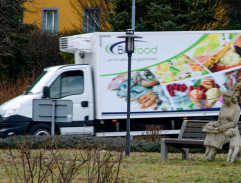 Socha dívky se psem