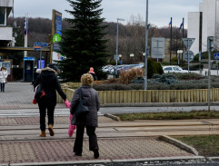 Luděk na přechodě