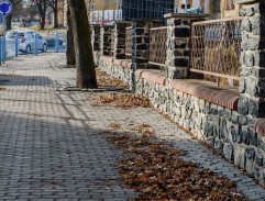 Tonda před gymnáziem