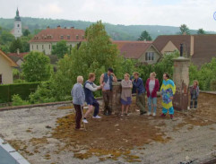 3. Zločin je tímový šport