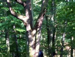 Konec starých časů