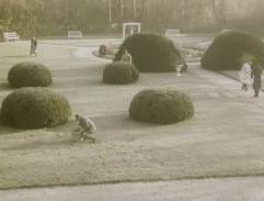 Pohled na park před zámkem