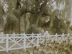 Konec starých časů