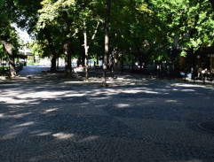 v parku na námestí