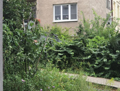 na dvore domu MUDr. Gábora