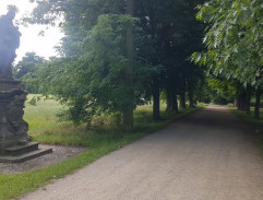 Petřík s trakařem