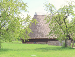 O Šípkové Růžence