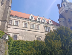 Zarůstání zámku 2