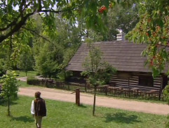 O Šípkové Růžence