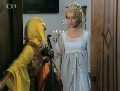 Doprovázení princezny