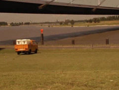 Hänchen striasol Toma