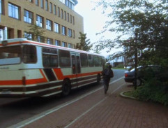 Tiger beží za autobusom