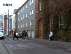 Pred domom Anny Engelhardt