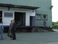 Špedičná firma Korn