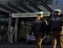 Policajná inšpekcia