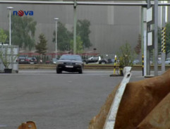 Hoven vošiel na šrotovisko