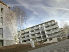 Naháňačka s Billym