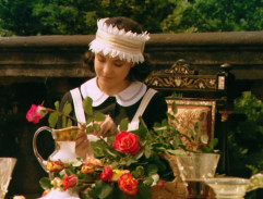 V růžové zahradě 2